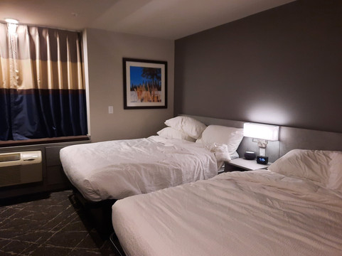 Microtel Inn & Suites Montreal Airport-Dorval QC主图
