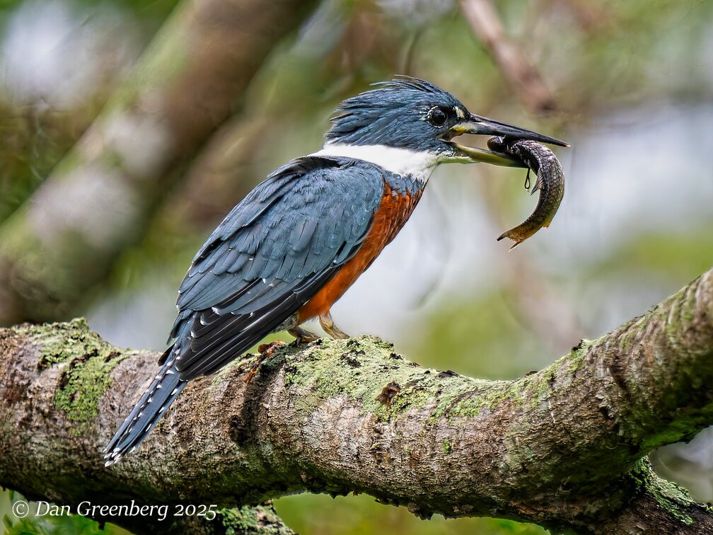 Pantanal Nature-Cuiaba必去景点