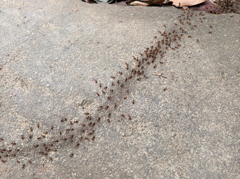 Khlong Nonsi Waterfall-象岛必去景点