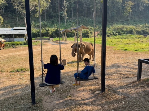 Lanna Kingdom Elephant Sanctuary-清迈必去景点