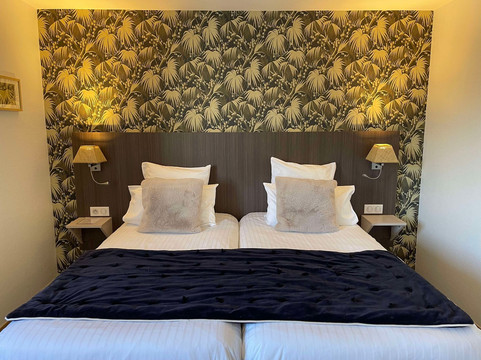 欧洲弗朗西斯涛特尔酒店主图