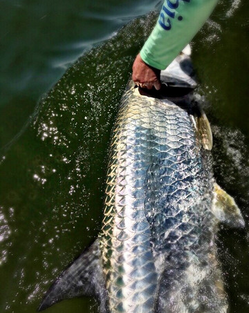 Endless Summer Charters-Sanibel必去景点