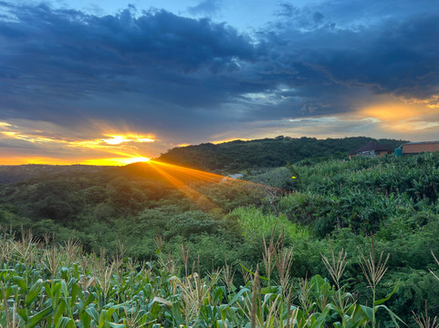 Wild Side Hiking-Port St Johns必去景点