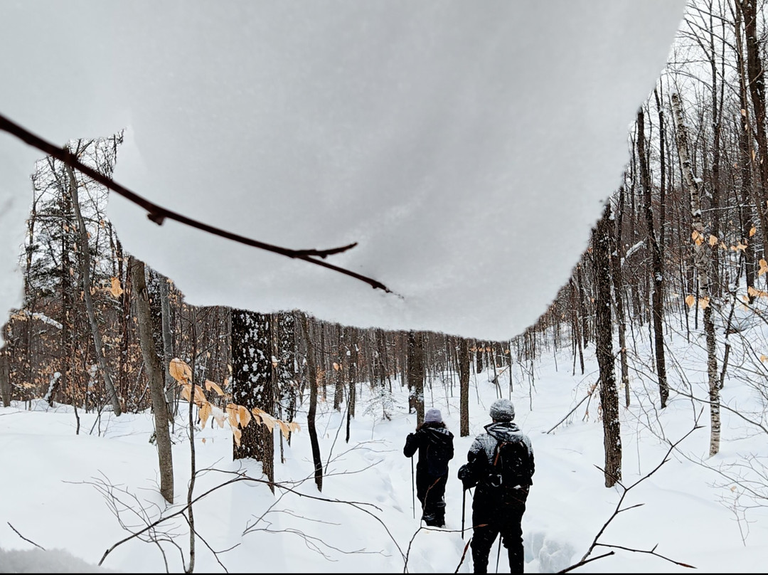 Parc regional de la Foret Ouareau-Notre-Dame-de-la-Merci必去景点