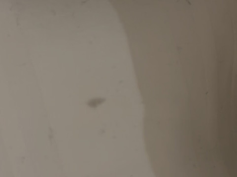 胡本图斯霍夫酒店主图