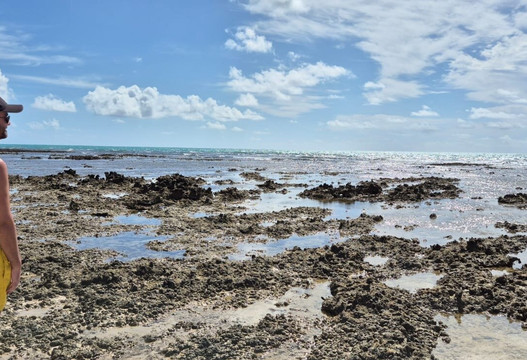 Croas De Sao Bento-Maragogi必去景点