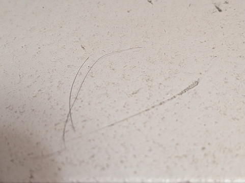 斯波坎瓦利华美达酒店主图