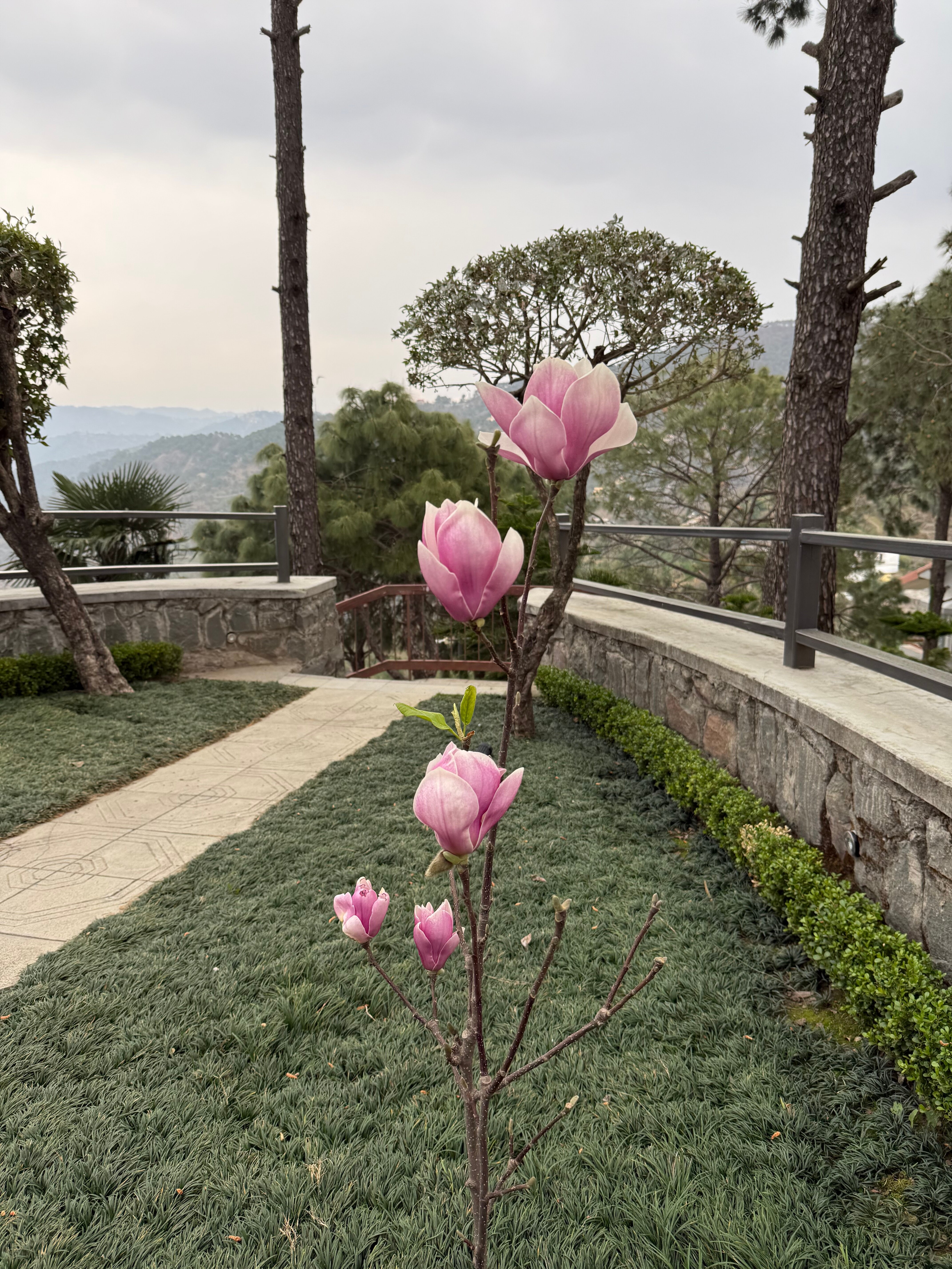 莫克沙喜马拉雅温泉度假村-官方