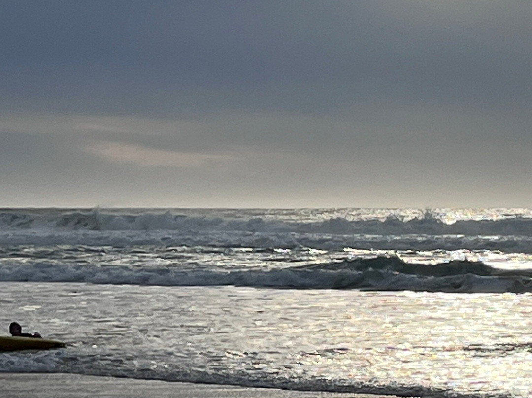 Ocean Ride-Lacanau-Ocean必去景点