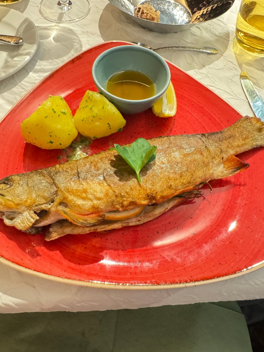 Schnitzers Dahoam - Hundefreundlich-官方