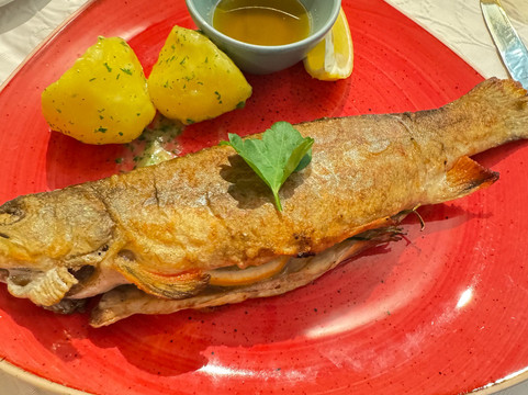 Schnitzers Dahoam - Hundefreundlich主图