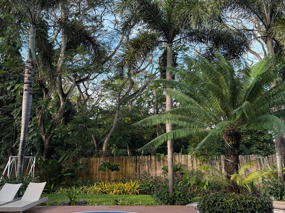 坎瓦司精品酒店主图