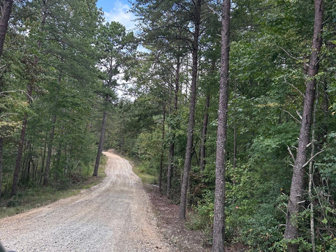 Jumping Off Rock-Pickens必去景点