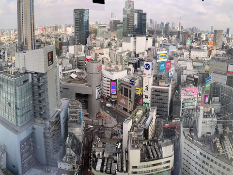 Xizang Odyssey Tours拉萨的一日游-拉萨市必去景点