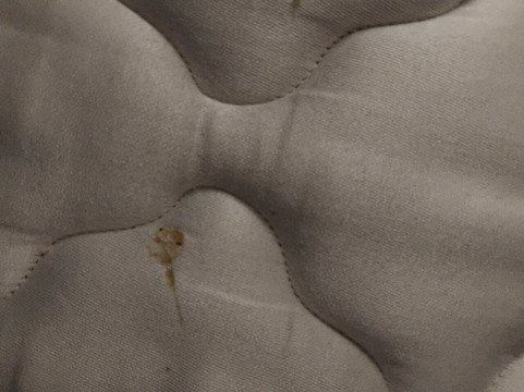 布拉德福德旅客之家酒店主图