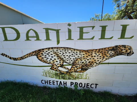 Daniell Cheetah Project-Kirkwood必去景点