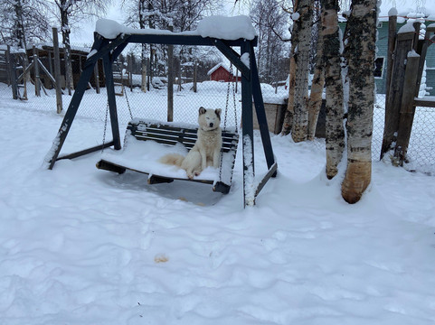 O'Nordic-Posio必去景点