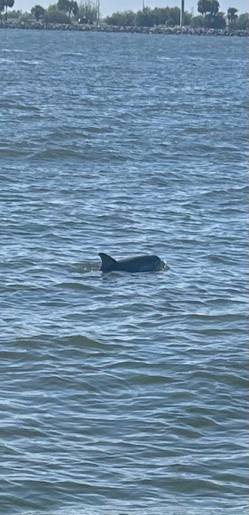 Good Natured River Tours-墨尔本必去景点