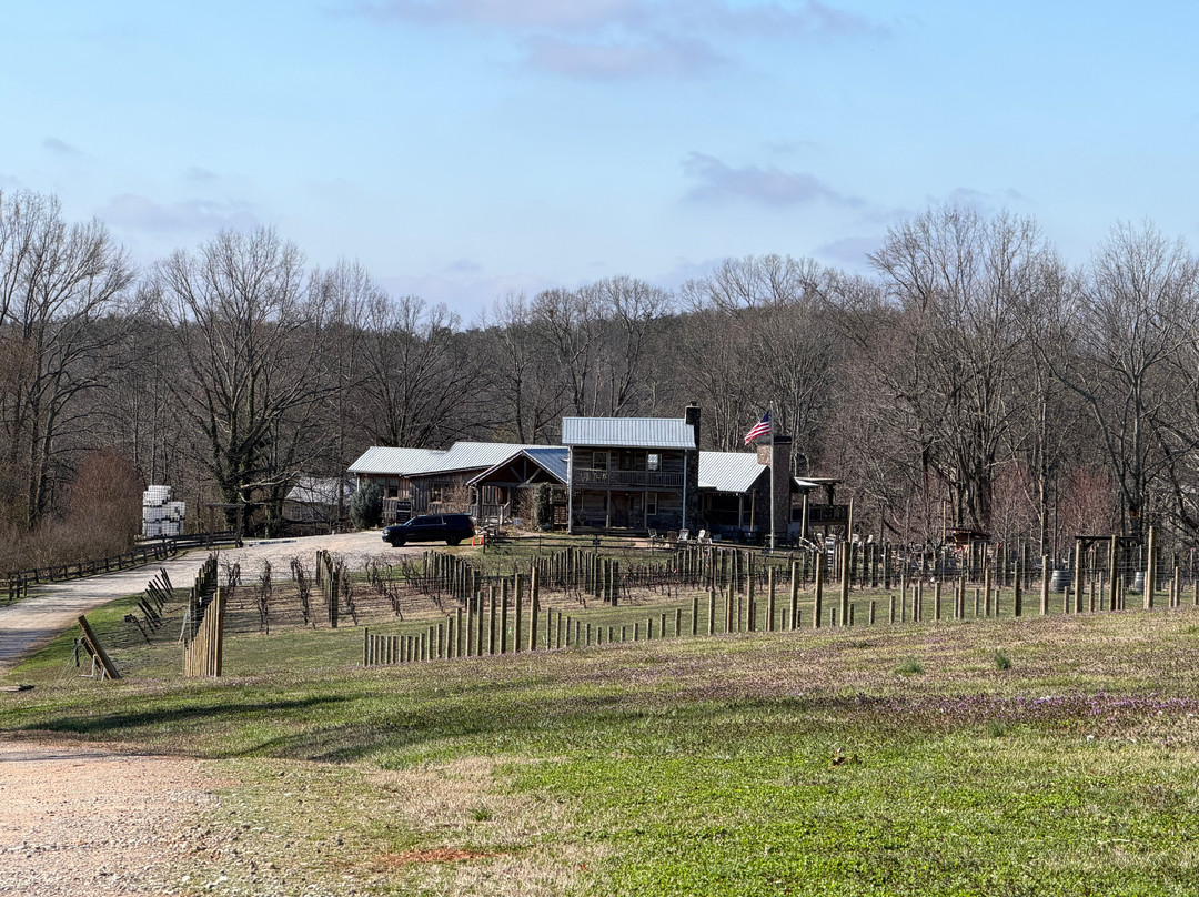 Cavender Creek Vineyards and Winery-达洛尼加必去景点