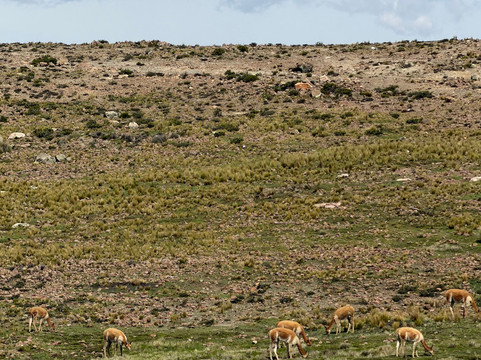 COLCA ONE DAY HIKE-Cabanaconde必去景点