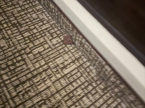 舒适套房酒店-诺曼湖亨特斯维尔主图