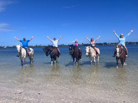 Florida Beach Horses-布雷登顿必去景点