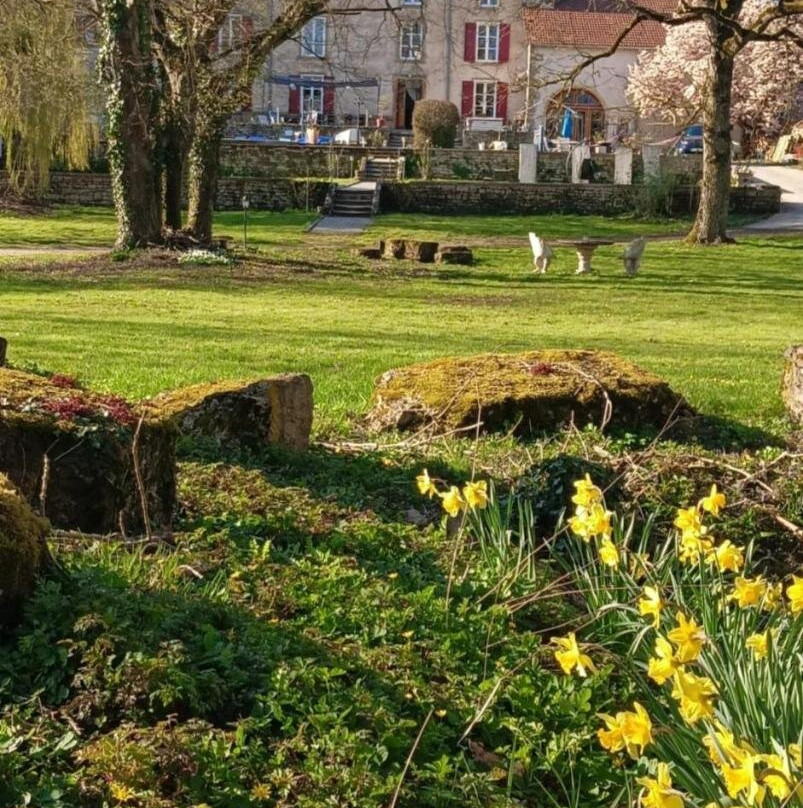 Le Domaine d'Elise Chambres et table d'hotes - Vosges