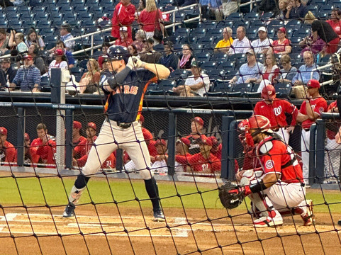 The Ballpark of the Palm Beaches-西棕榈滩必去景点