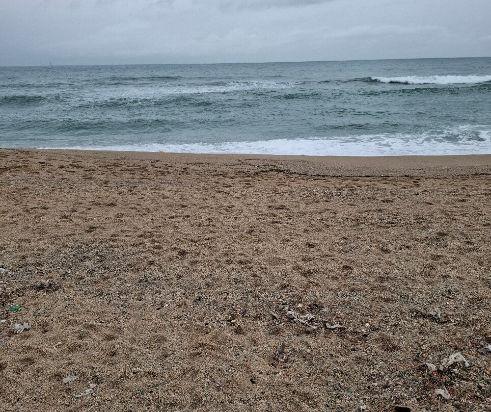 Playa de la Estacion-巴达洛纳必去景点