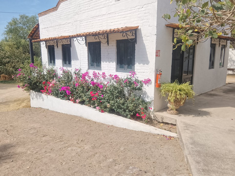 Yolihuani Relax Resort-Calvillo必去景点