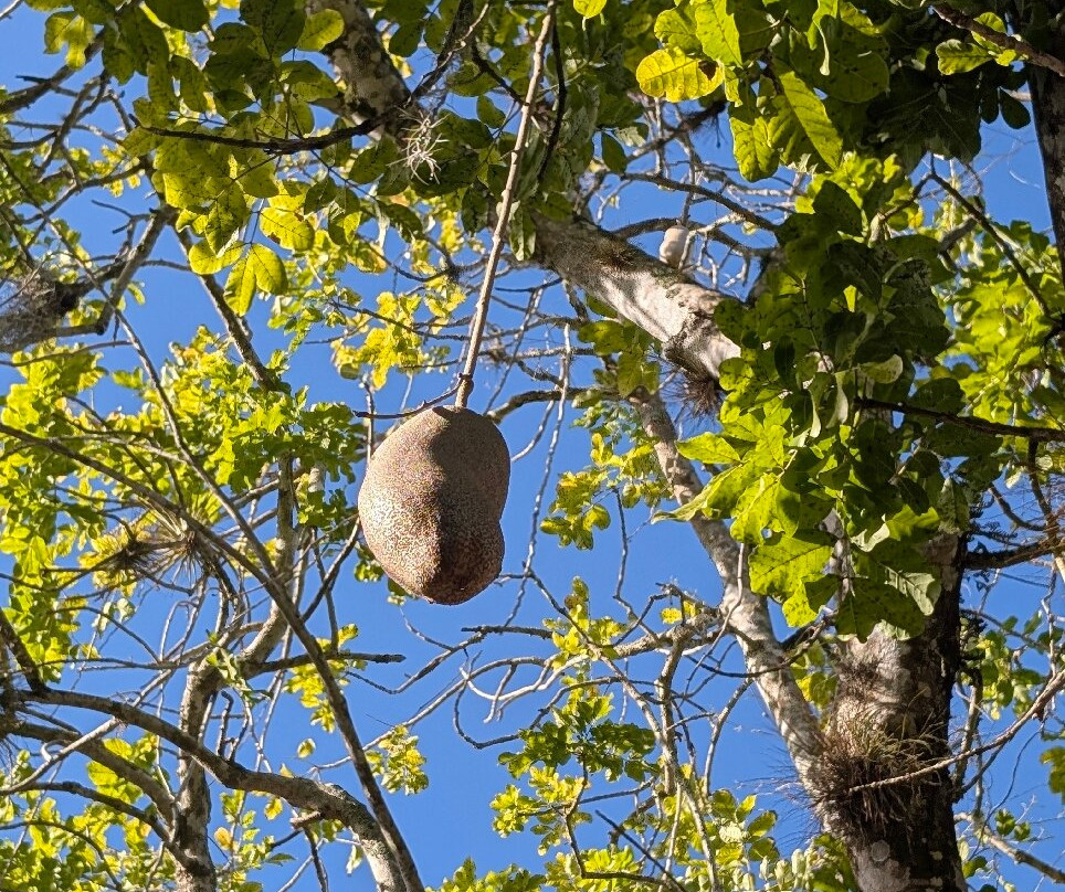 Koreshan State Park-埃斯特罗必去景点