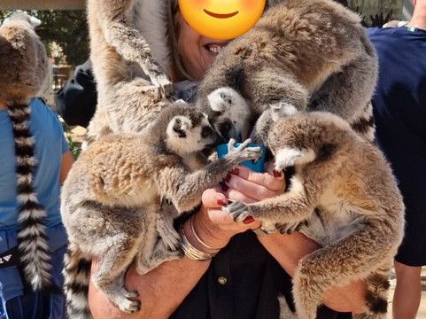 Pafos Zoo-帕福斯必去景点