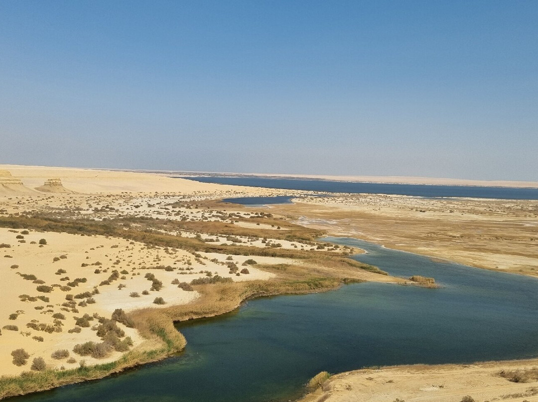 Mena Tour Guide Aswan Luxor-亚斯文必去景点