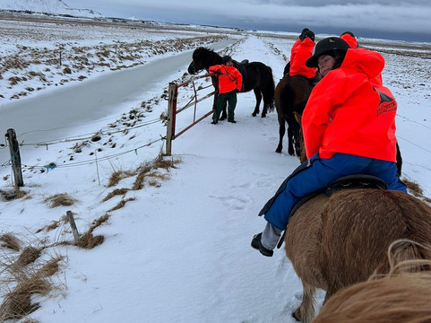 Eldhestar Volcano Horses-Olfus必去景点