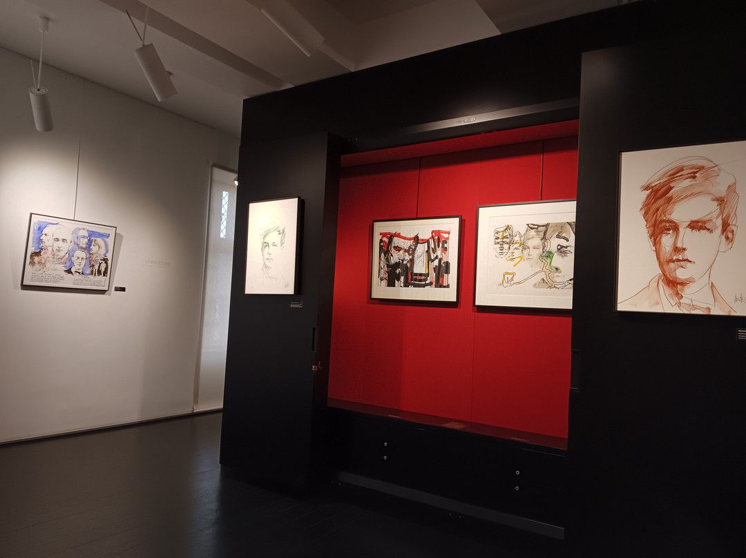 La Maison des Ailleurs-沙勒维尔梅济耶尔必去景点