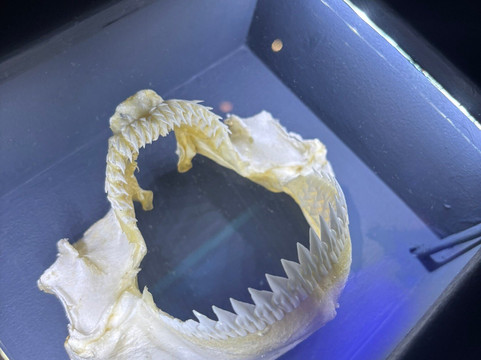 CRETAquarium-Gournes必去景点