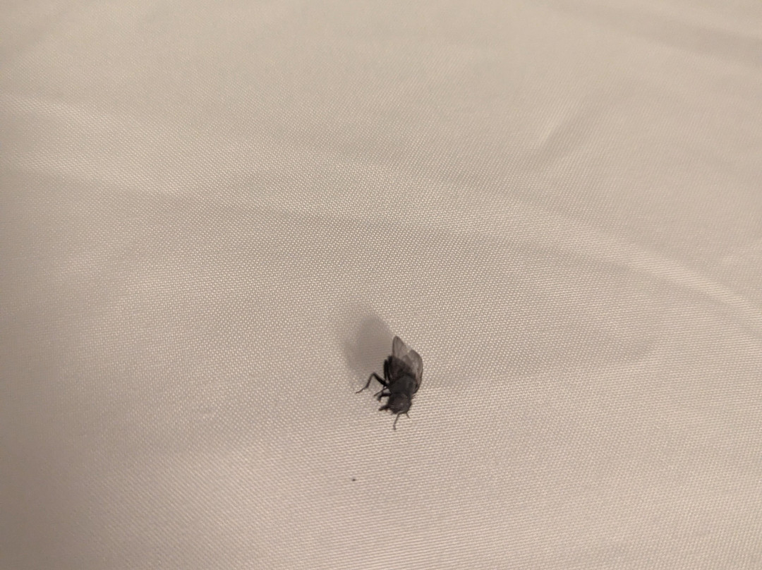 Home2 Suites by Hilton Salisbury Fruitland