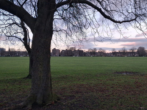 The Stray-哈罗盖特必去景点