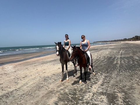 Kotu Horses-Kotu必去景点