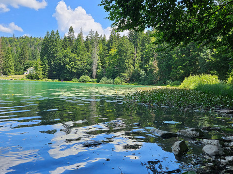 Lac Genin-Oyonnax必去景点