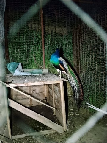 Agriturismo Sperone-官方