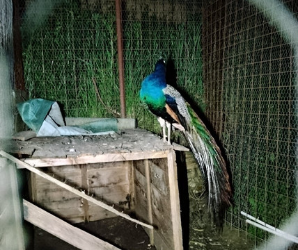 Agriturismo Sperone主图