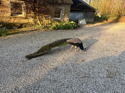 Maison Grandsire - Logis de Charme主图