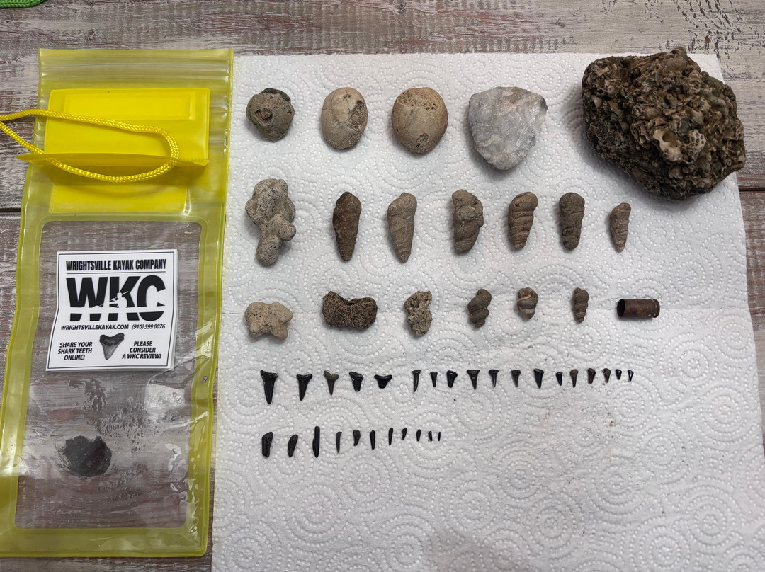 Wrightsville Kayak Company-威尔明顿必去景点