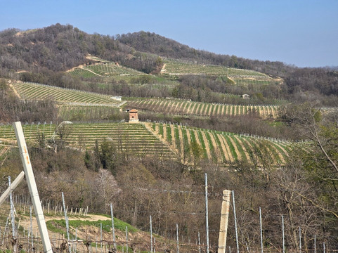 Travaglini-Gattinara必去景点