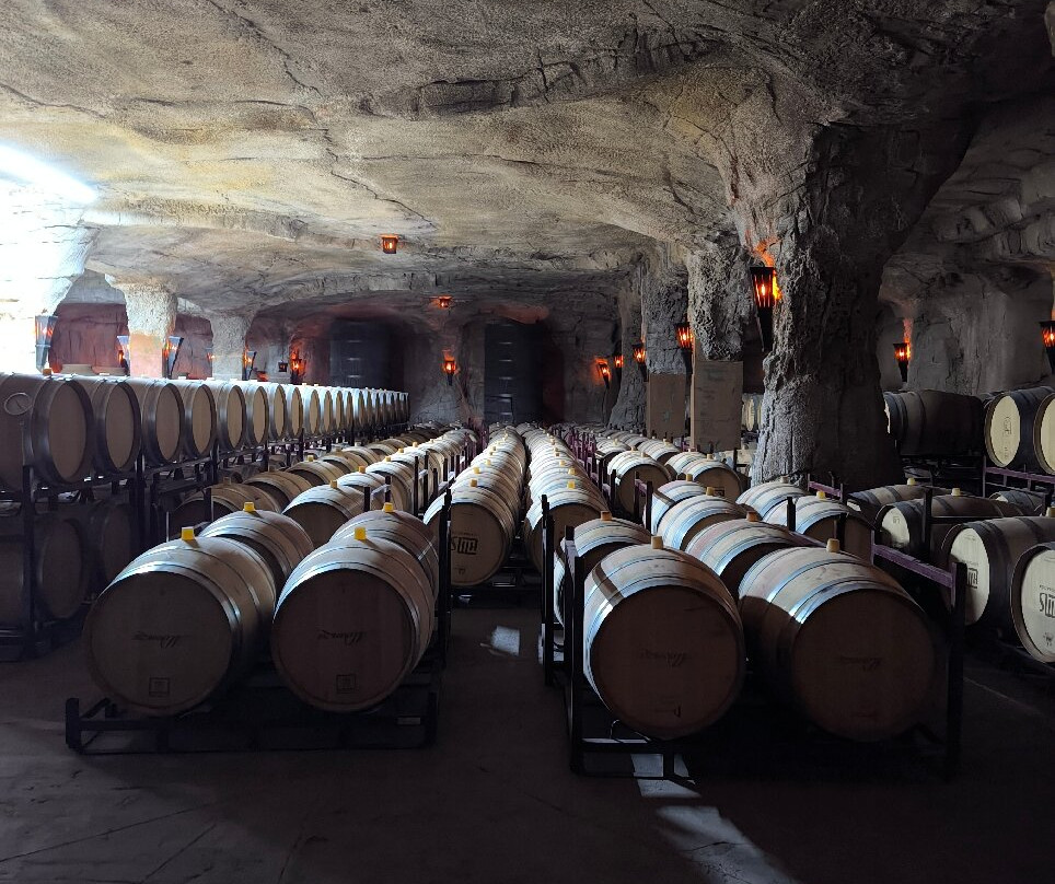 Bodegas Aldonza-Munera必去景点