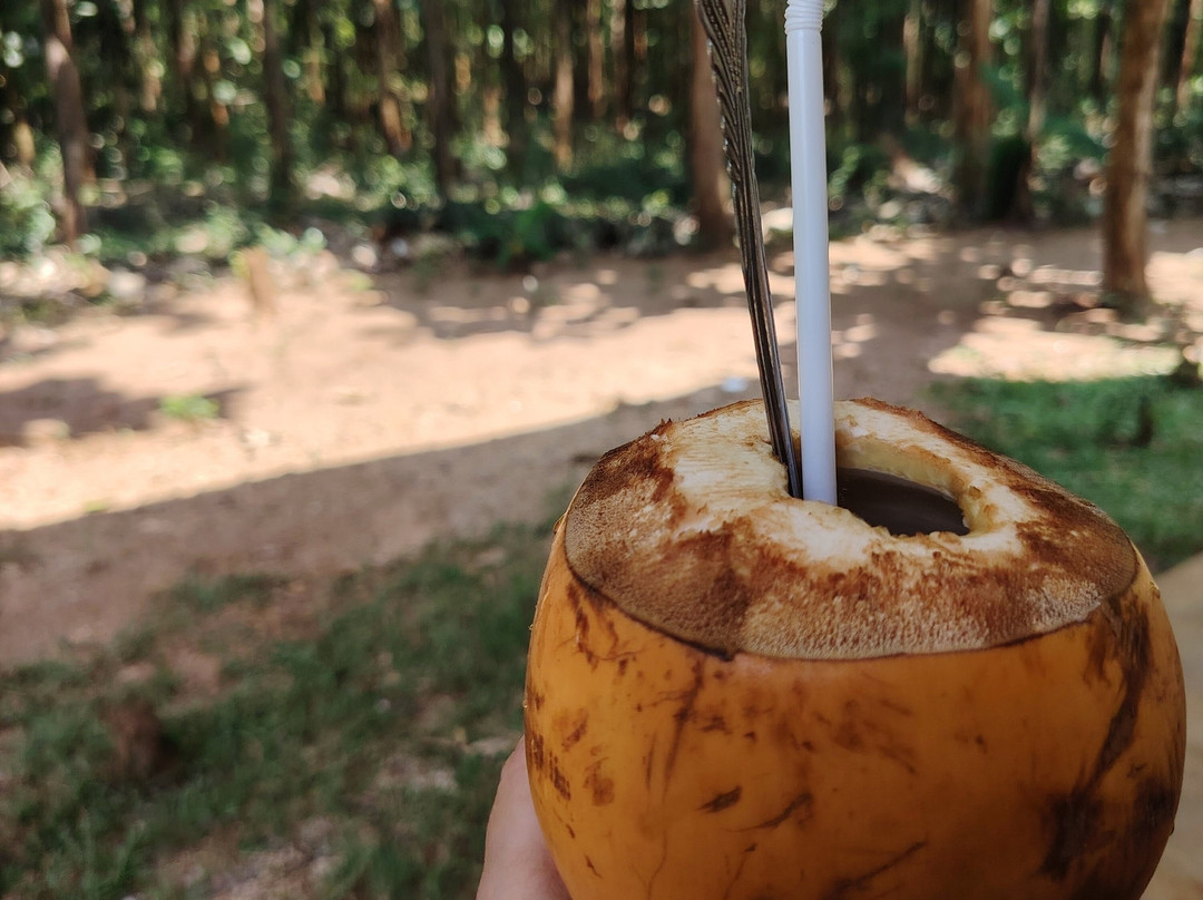 绿景野外度假村主图