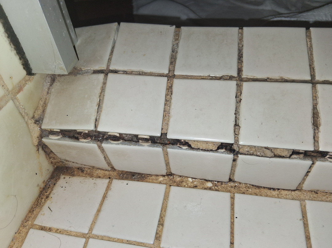 帕尔马斯德科尔特斯酒店主图