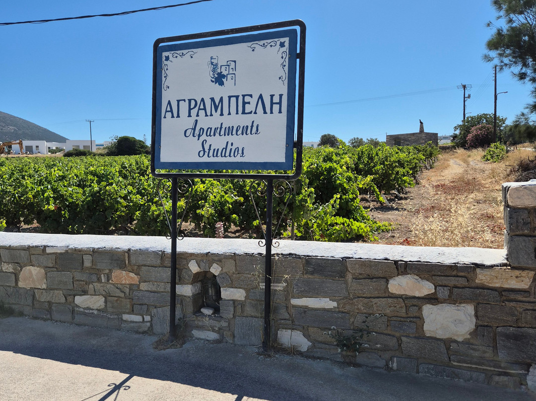 帕罗斯农房主图