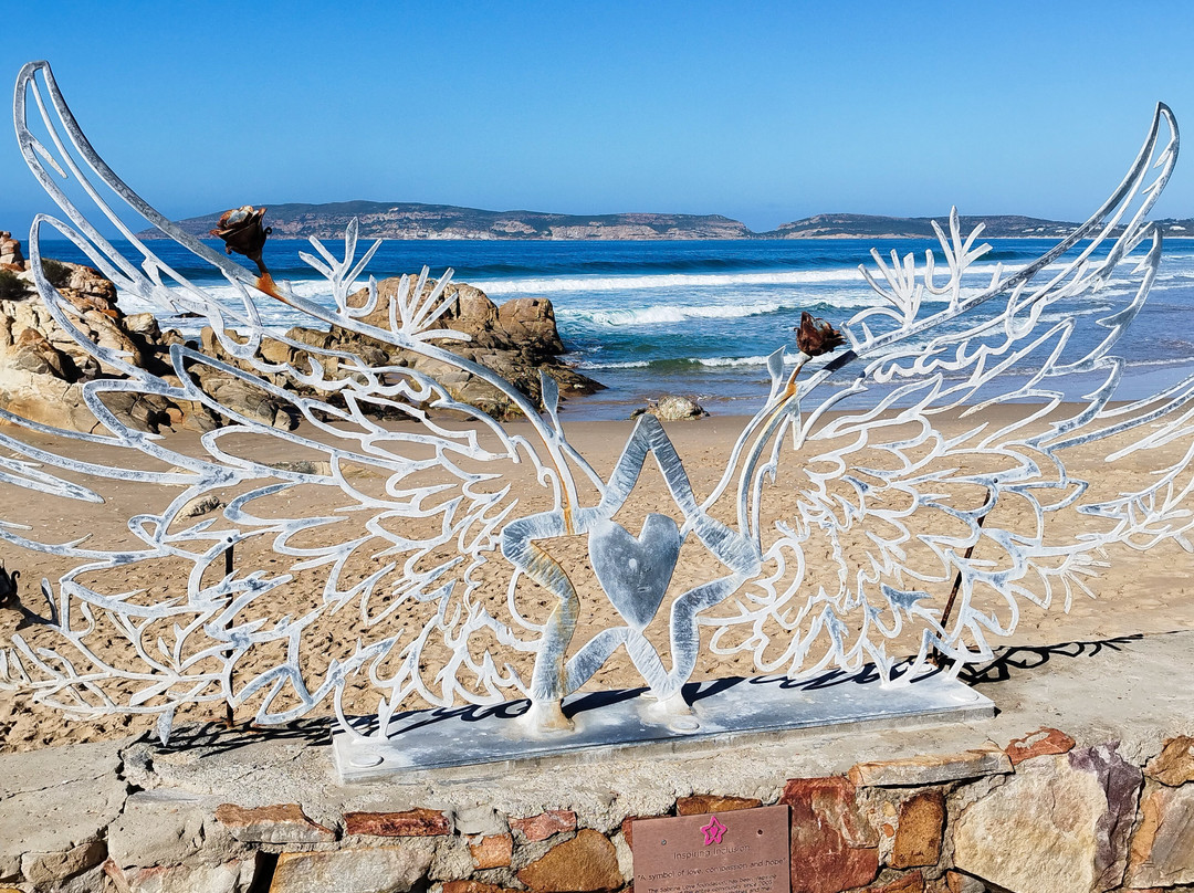 Plettenberg Beach-普利登堡湾必去景点